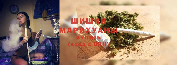 PSILOCYBIN Гусиноозёрск