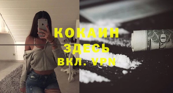 PSILOCYBIN Гусиноозёрск