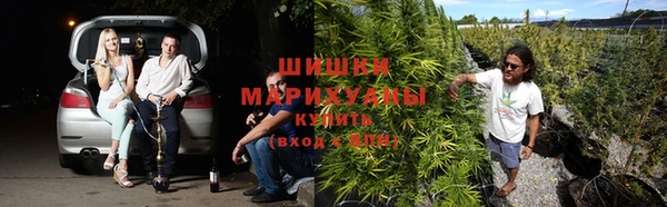 герыч Гусь-Хрустальный