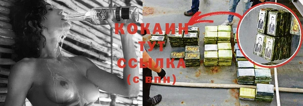 не бодяженный Гусев