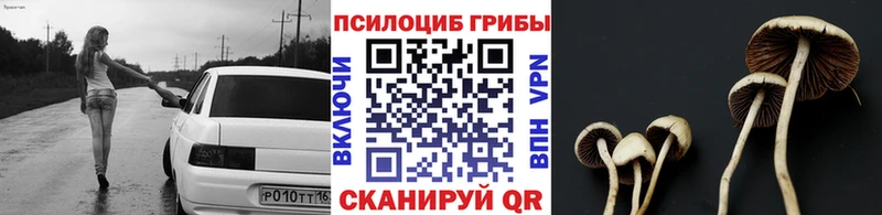 как найти наркотики площадка Telegram Галлюциногенные грибы GOLDEN TEACHER Мценск